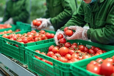 SEI_89824138-ravb75oc25t94kg7i63iep3p7h42rxalkf1bsy4msu