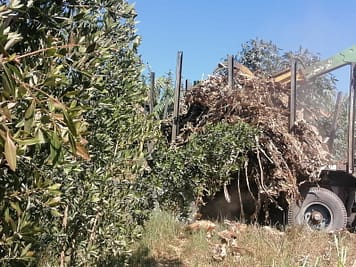 PHOTO-2022-03-16-14-40-57 3 (1)