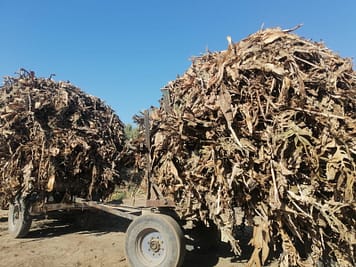 PHOTO-2022-03-16-15-47-36