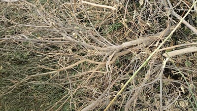 PHOTO-2022-03-22-11-13-27