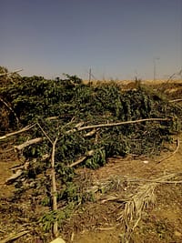 PHOTO-2022-04-25-19-01-47 3