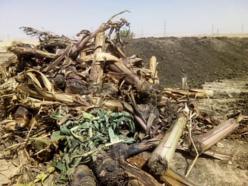 c35d428b-092b-4876-828b-d64a916f7cfc