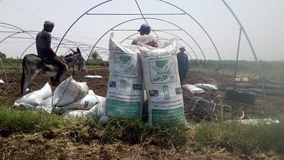 54bdb7dc-d28f-4545-8eae-3010d2fd3f37