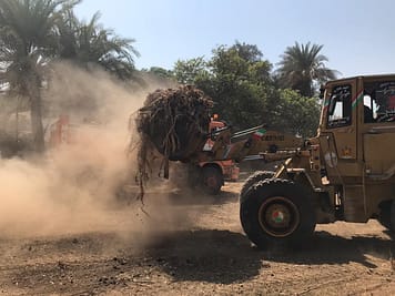 PHOTO-2022-01-12-13-11-56 2