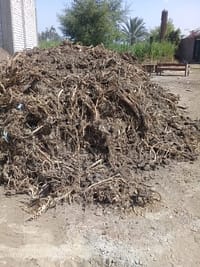 PHOTO-2022-01-12-13-11-56