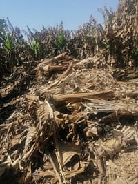 PHOTO-2022-03-02-14-06-12