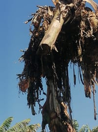 PHOTO-2022-03-16-14-40-56