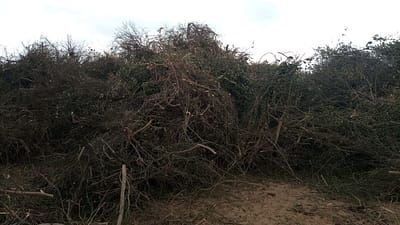 PHOTO-2022-03-22-11-13-06