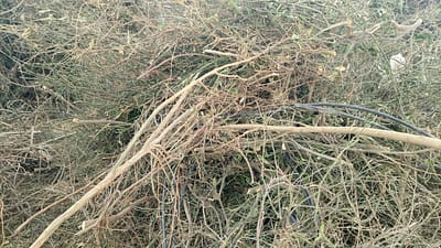 PHOTO-2022-03-22-11-13-15