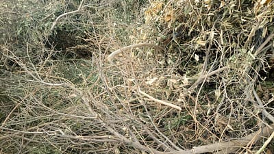 PHOTO-2022-03-22-11-13-22