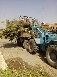 PHOTO-2022-04-25-19-01-47 2