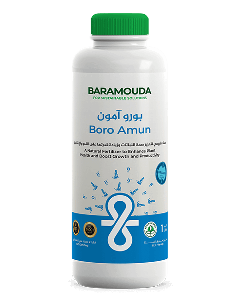 Amun_Boro 24 X 15 cm 1L Blue