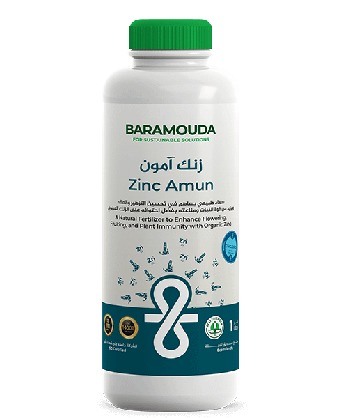 Amun_Zinc 24 X 15 cm 1L Blue