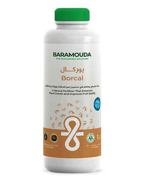 Borcal 24 X 15 cm 1L Blue