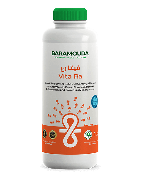 Ra_Vita 24 X 15 cm 1L Blue